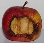 Bad Apples (Short 2006)