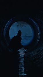 Gwafi (Short 2022)