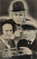 Three Little Sew and Sews (Short 1939)