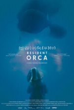 Resident Orca