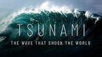 Tsunami: The Wave That Shook the World (TV Special 2024)