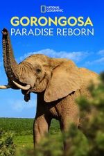 Gorongosa: Paradise Reborn (Short 2022)
