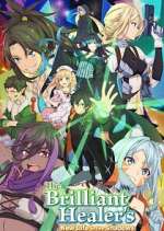 The Brilliant Healer\'s New Life in the Shadows