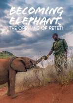 Becoming Elephant: The Orphans Of Reteti