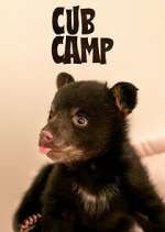 Cub Camp