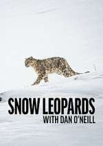 Snow Leopards with Dan O\'Neill